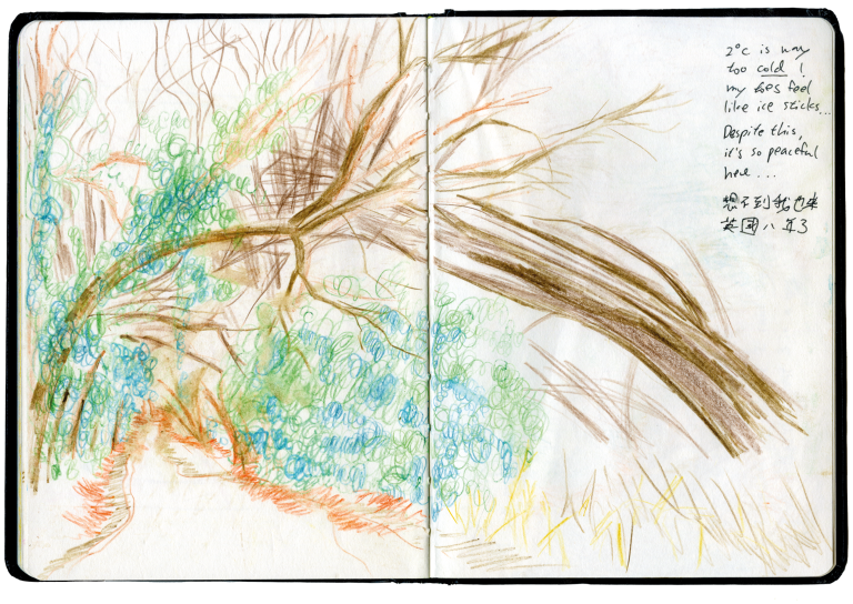 A sketchbook spread of the footpath with surrounding tree branches that make it look like a natural tunnel. The scene is mainly brown swift lines of tree branches, with swirly lines making up green ivy. The path is reddish orange on the edges and disappears in the far distance.