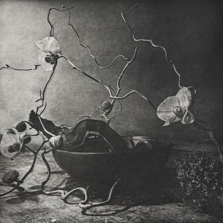 Love & Loss is a photo polymer print by Maisy Aykroyd (BA Fine Art) displaying an intricate botanical arrangement inspired by the ancient Japanese practice of Ikebana.