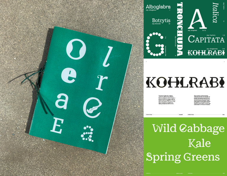 A booklet on a stone-like background, bound with green raffia. The cover displays the eight letters of ‘Oleracea’, each in a different decorative font. Alongside are three internal spreads, displaying the decorative text in more detail.