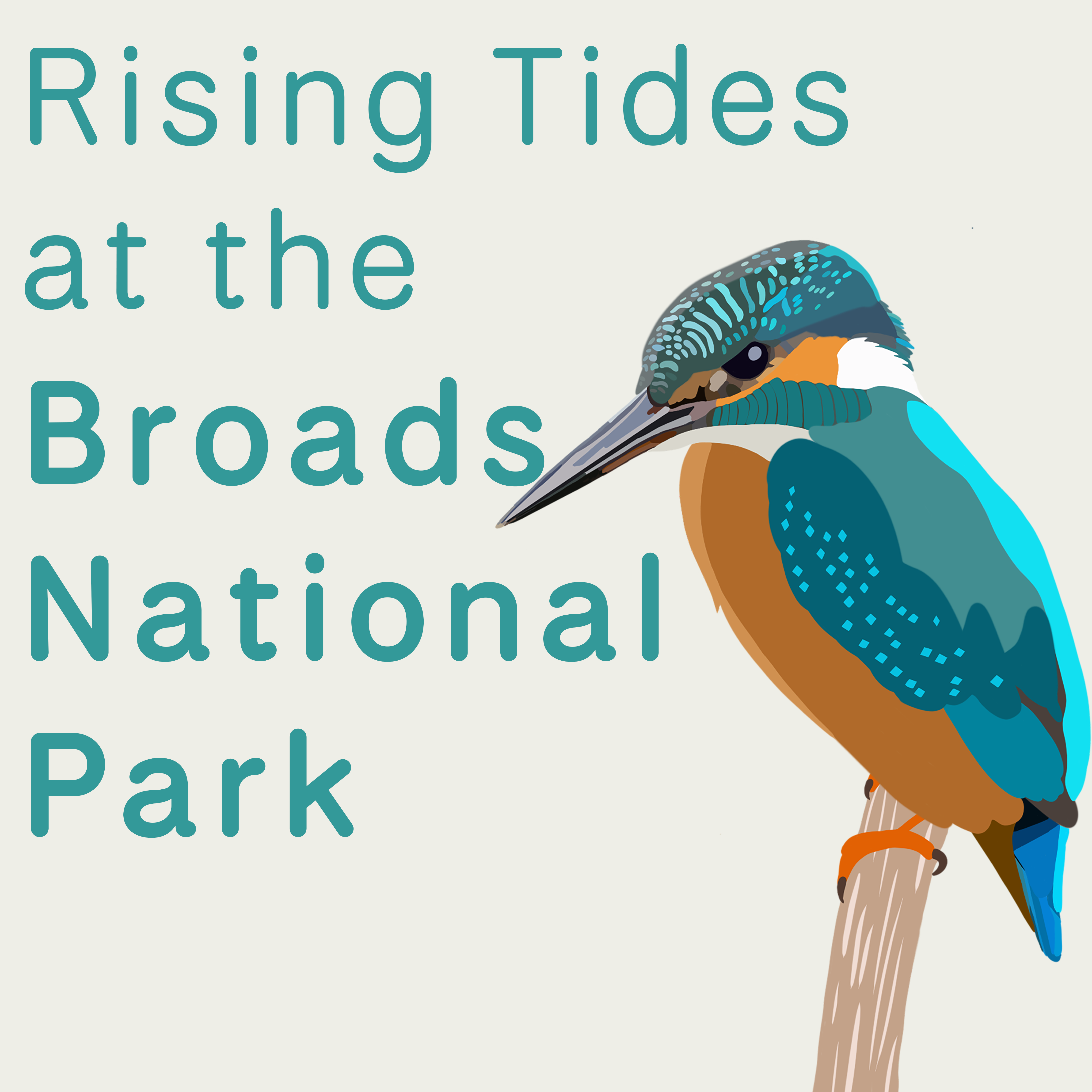 A social content clip that has illustrations of wildlife present at the Broads. Created by Louise Keddy for Major project