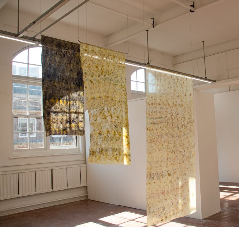 BA Fine Art work by Amelia Ranger, showing a suspended textile installation of three semi-transparent, botanically dyed panels with layered embroidery and devoré textures.