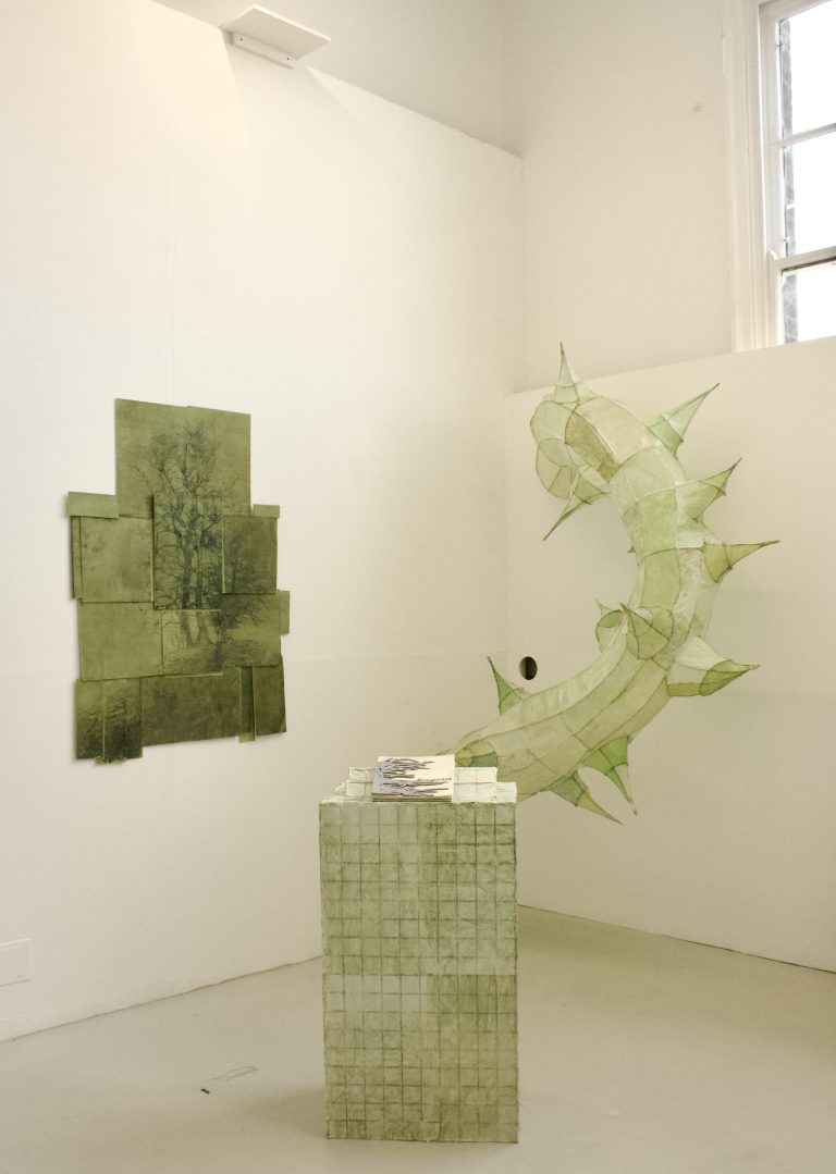 Fine Art work by Nancy-Mae Wright, showing A large wall mounted organic bramble sculpture. A plinth and handmade art book. A green toned cyanotype of a mount with trees a-top.