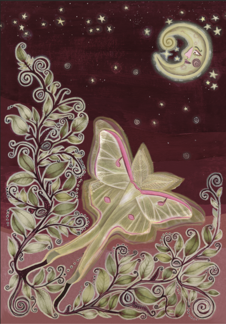 Collage art with pencil details of a moth flying towards the moon. Vines with leaves surrounding the moth. The moon can be seen in the top right corner with a face, looking down at the moth.