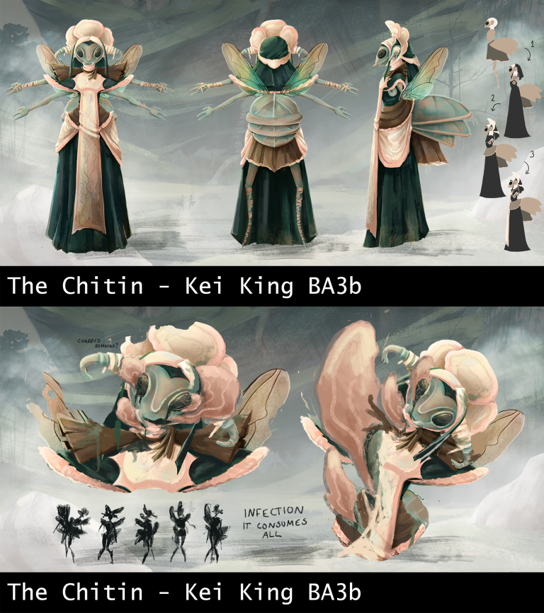 This turnaround shows an insectoid nun character with a mushroom inspired headdress. She has 4 arms and a bug-like face with a blue and pink colour scheme. The second sheet shows the character at stages of ‘corruption’ with mushrooms bursting from their skin ripping them apart.