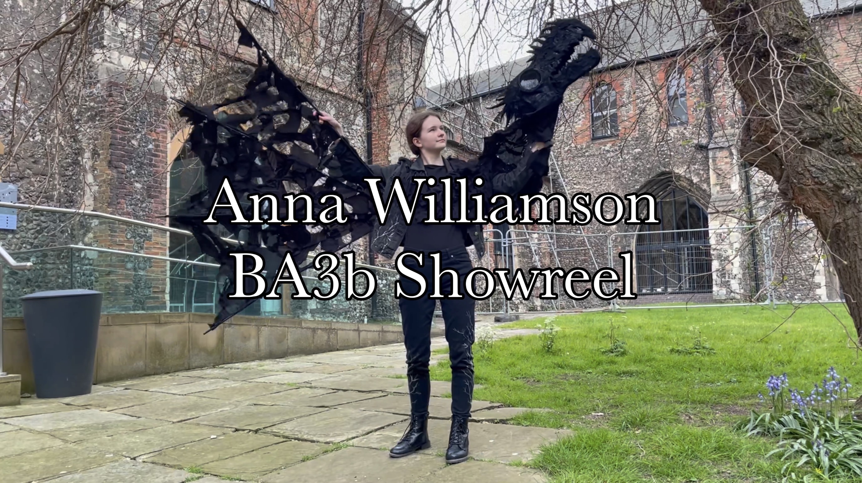A compilation of animations created by Anna Williamson, including stop-motion and 2D work.