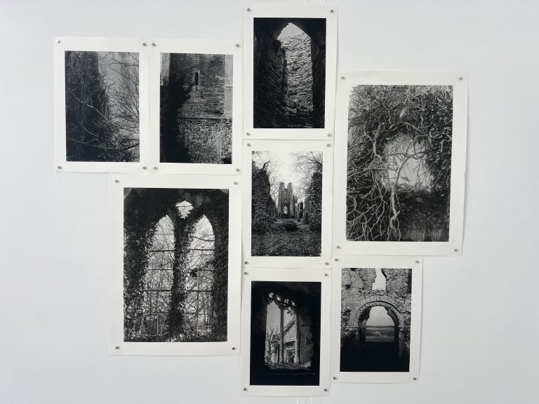 8 black and white screen prints, 6 a3, 2 a2, all pressed edge to edge, showing a variety of nature reclaimed ruins