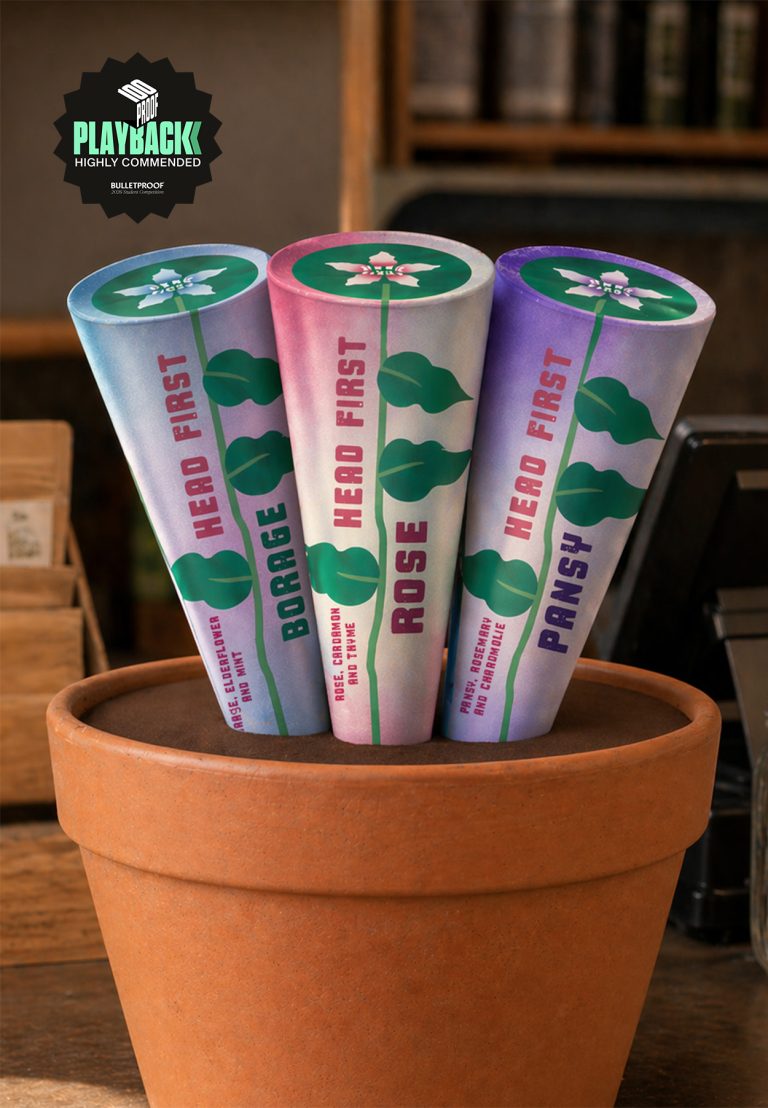 Graphic design mock up by Bethan Todd showing 3 icecream cones in a plant pot